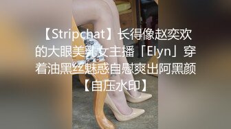 【Stripchat】长得像赵奕欢的大眼美乳女主播「Elyn」穿着油黑丝魅惑自慰爽出阿黑颜【自压水印】