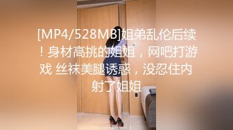 [MP4/528MB]姐弟乱伦后续！身材高挑的姐姐，网吧打游戏 丝袜美腿诱惑，没忍住内射了姐姐