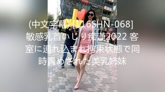 (中文字幕) [116SHN-068] 敏感乳首いじり痴漢2022 客室に連れ込まれ拘束状態で同時責めされた美乳姉妹