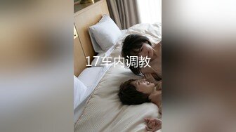 17车内调教