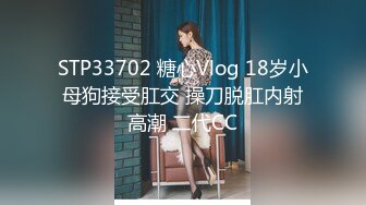 STP33702 糖心Vlog 18岁小母狗接受肛交 操刀脱肛内射高潮 二代CC