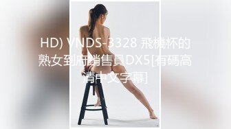 HD) VNDS-3328 飛機杯的熟女到府銷售員DX5[有碼高清中文字幕]