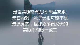 最强美腿蜜臀尤物 黑丝高跟,无套内射，妹子长相可能不是最漂亮的，但那双笔直又长的美腿绝对数一数二