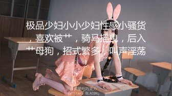 极品少妇小小少妇性感小骚货，喜欢被艹，骑马摇曳，后入艹母狗，招式繁多，叫声淫荡！