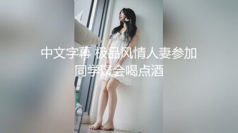 中文字幕 极品风情人妻参加同学聚会喝点酒