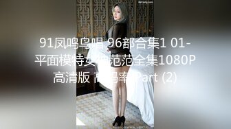 91凤鸣鸟唱 96部合集1 01-平面模特女神范范全集1080P高清版 高码率 Part (2)