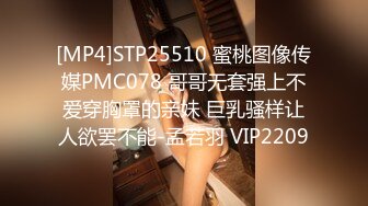 [MP4]STP25510 蜜桃图像传媒PMC078 哥哥无套强上不爱穿胸罩的亲妹 巨乳骚样让人欲罢不能-孟若羽 VIP2209