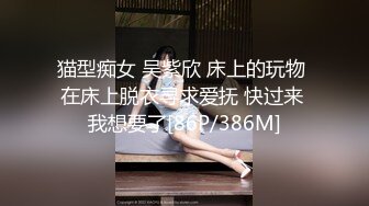 猫型痴女 吴紫欣 床上的玩物 在床上脱衣寻求爱抚 快过来 我想要了[86P/386M]