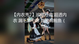 【内衣秀2】珍藏经典 超透内衣 漏毛算个啥 直接漏鲍鱼（上） (8)