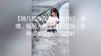 【瞎几把探花】良家少妇，偷情，极品大胸，白皙皮肤，各种姿势狂插激情四射