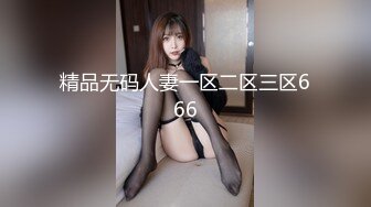 精品无码人妻一区二区三区666