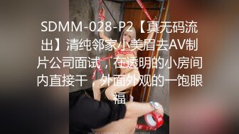 SDMM-028-P2【真无码流出】清纯邻家小美眉去AV制片公司面试，在透明的小房间内直接干，外面外观的一饱眼福