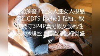 高能预警！比女人还女人极品网红CDTS【sehe】私拍，能攻能守3P4P真男假女混乱性交人体蜈蚣，相当淫乱视觉盛宴