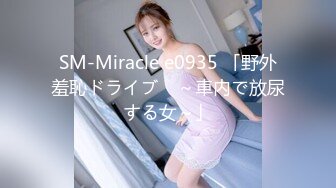 SM-Miracle e0935 「野外羞恥ドライブ　～車内で放尿する女～」