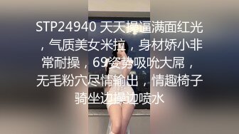 STP24940 天天操逼满面红光，气质美女米拉，身材娇小非常耐操，69姿势吸吮大屌，无毛粉穴尽情输出，情趣椅子骑坐边操边喷水