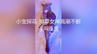 小宝探花-爆草女神高潮不断淫叫连连