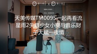 天美传媒TM0095一起再看流星雨2失意少女小爽与音乐财子大斌一夜情