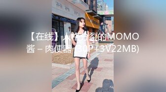 【在线】人格分裂的MOMO酱 – 肉便器 (30P+3V22MB)