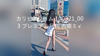 カリビアンコム 100821_003 プレミアム月刊 吉原ミィナ